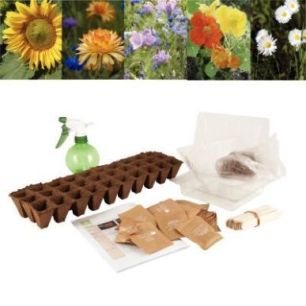 Achetez Carton de 30 sachets de graines de fleurs 026832 pas cher sur Ma Rentrée Scolaire