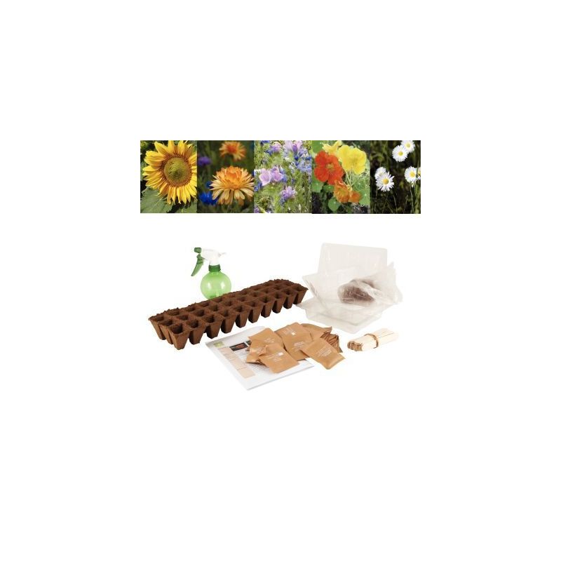 Achetez Carton de 30 sachets de graines de fleurs 026832 pas cher sur Ma Rentrée Scolaire Achetez Carton de 30 sachets de graines de fleurs 026832 pas cher sur Ma Rentrée Scolaire