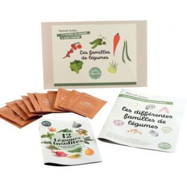 Achetez Coffret de 12 sachets de graines les familles de légumes 142178 pas cher sur Ma Rentrée Sc..