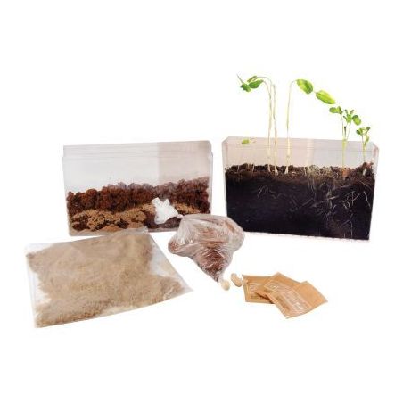 Achetez Visio nature : racines et lombrics 26836 pas cher sur Ma Rentrée Scolaire