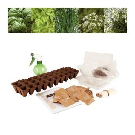 Achetez Carton de 30 sachets de graines aromates bio 026830 pas cher sur Ma Rentrée Scolaire