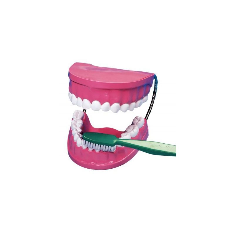 Achetez La bouche - les dents + brosse à dent géante 2038 pas cher sur Ma Rentrée Scolaire Achetez La bouche - les dents + brosse à dent géante 2038 pas cher sur Ma Rentrée Scolaire