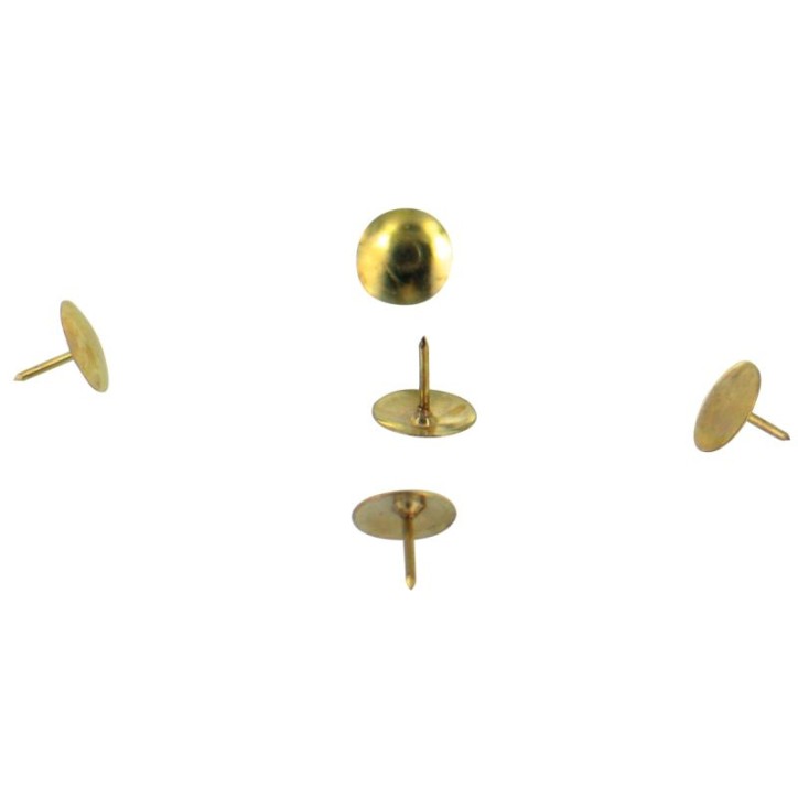 Boîte de 100 punaises laitonnées