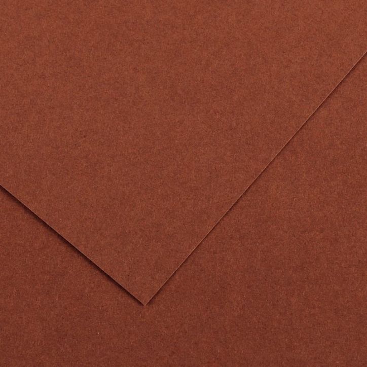 Paquet de 10 feuilles Colorline 50x65 cm 150 g chocolat C31074S053 CANSON
