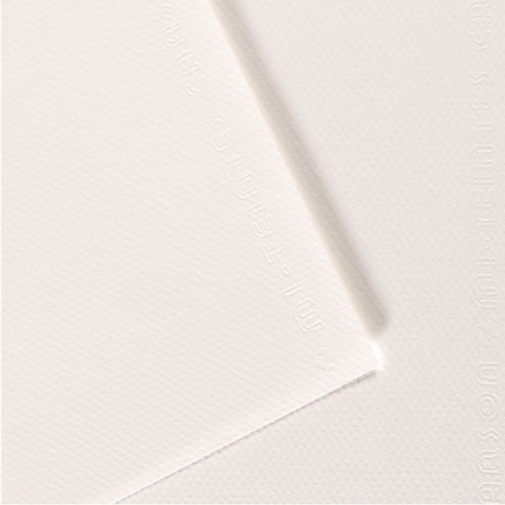 Paquet de 10 feuilles mi-teinte format 50x65 coloris blanc C31027S086 CANSON