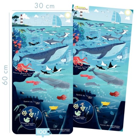 Article scolaire 852066