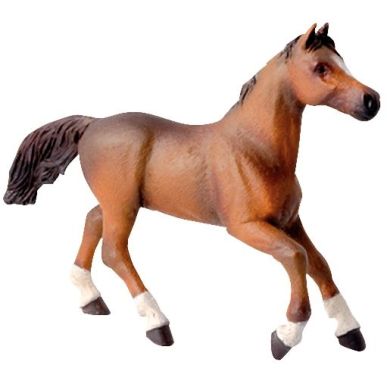 Article scolaire 360196