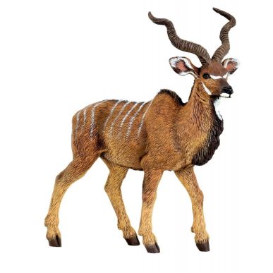 Article scolaire 576229