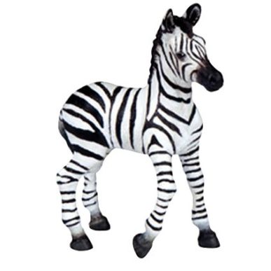 Article scolaire 915649