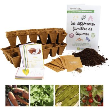 Article scolaire 148364