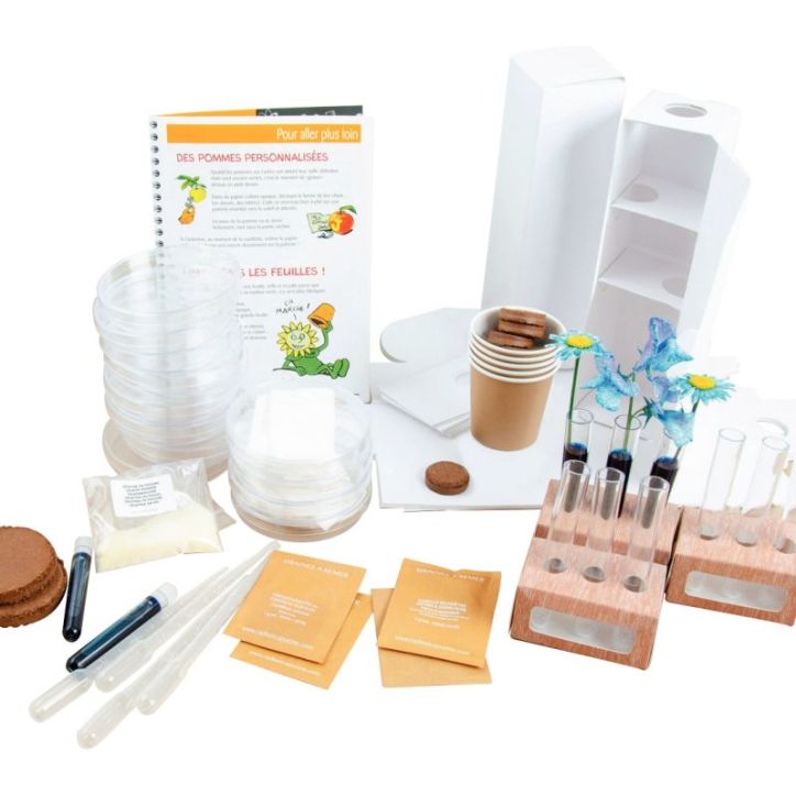 Coffret expériences botaniques 37264
