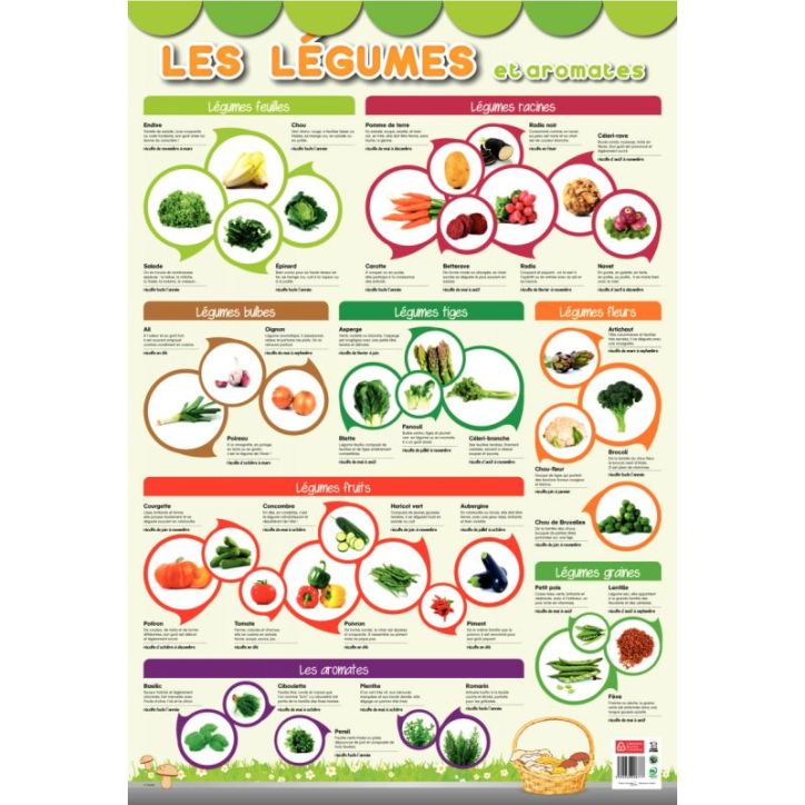 Poster Pédagogique en PVC 76x52cm - Thème Les Légumes PAPPOSTLEGUMES