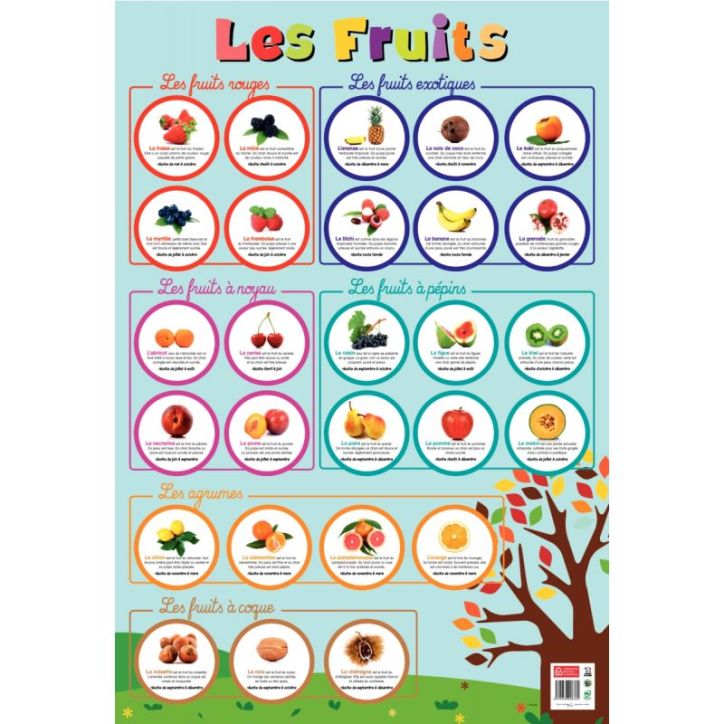 Poster Pédagogique en PVC 76x52cm - Thème Les Fruits PAPPOSTFRUITS