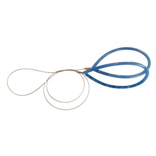 Article scolaire 352781