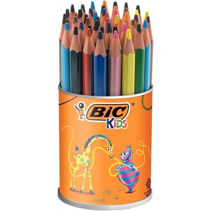 Pot de 48 crayons de couleur Évolution triangulaire pointe moyenne 8297362 EVOLUTION BIC