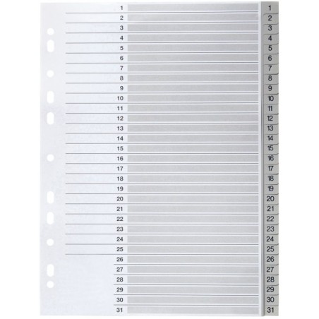 Article scolaire 305668